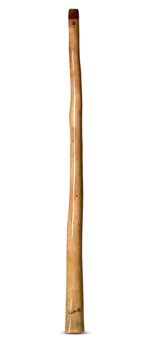 Wix Stix Didgeridoo (WS121)